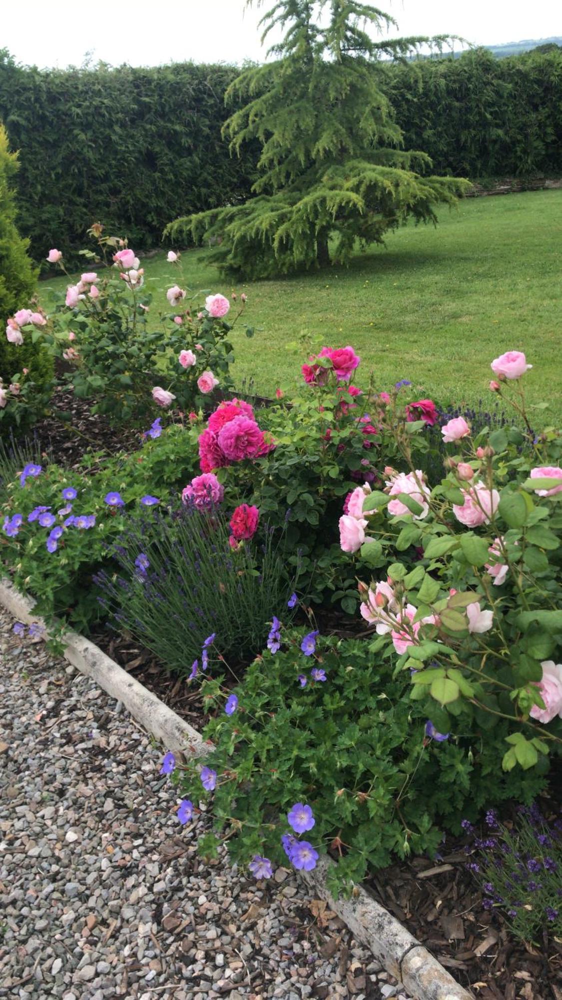 Rock Park Farm - Home From Home Accommodation Yeoford エクステリア 写真